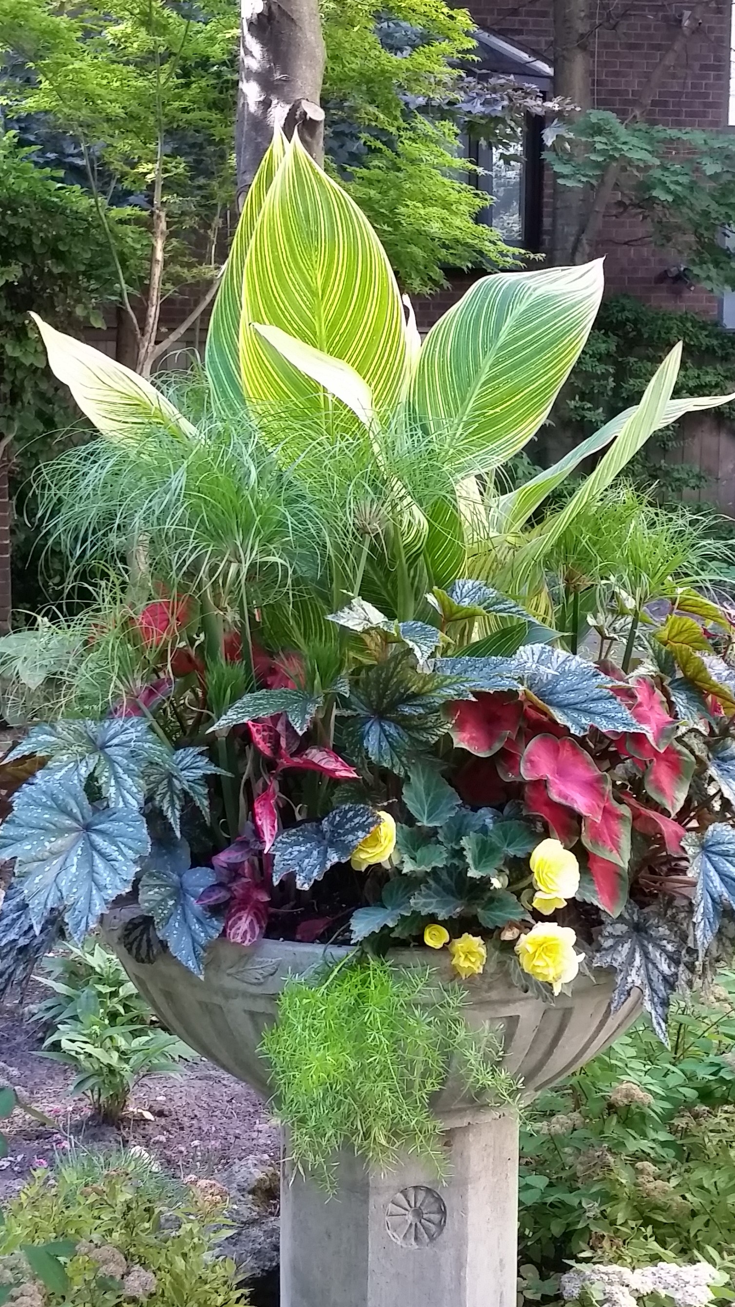 Foliage Extravaganza for Shade